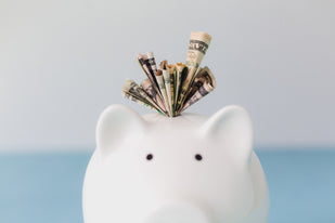Get Paid Monthly — Earn Up to 35%
